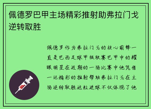 佩德罗巴甲主场精彩推射助弗拉门戈逆转取胜